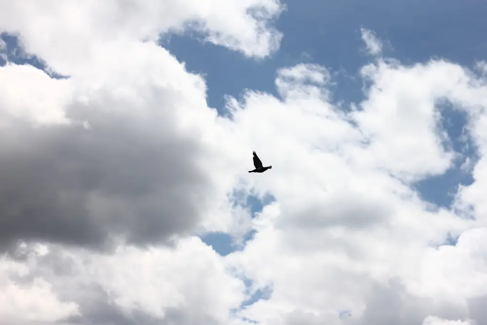 Une image de nuages