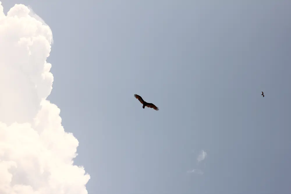 Une image de nuages